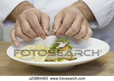Male chef garnishing food close-up View Large Photo Image Stock Image - Male chef garnishing food close-up. Fotosearch