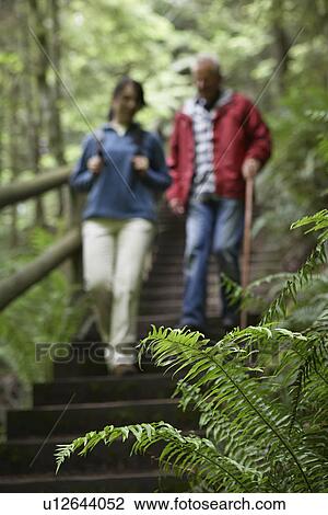 Middle-aged woman and senior man on trail in forest focus on fern in foreground View Large Photo Image Stock Image - Middle-aged woman and senior man on trail in forest focus on fern in foreground. Fotosearch