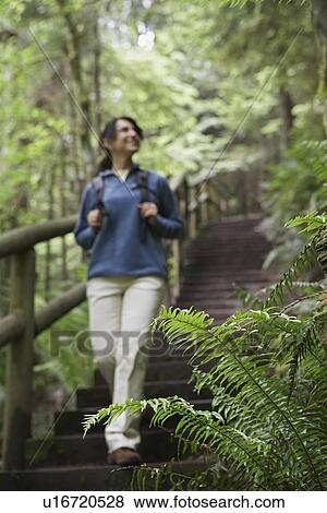 Middle aged woman on forest trail focus on fern in foreground View Large Photo Image Stock Photo - Middle aged woman on forest trail focus on fern in foreground. Fotosearch