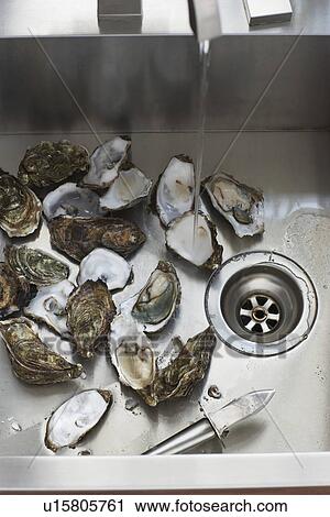 Oysters in kitchen sink elevated view close-up View Large Photo Image Stock Image - Oysters in kitchen sink elevated view close-up. Fotosearch