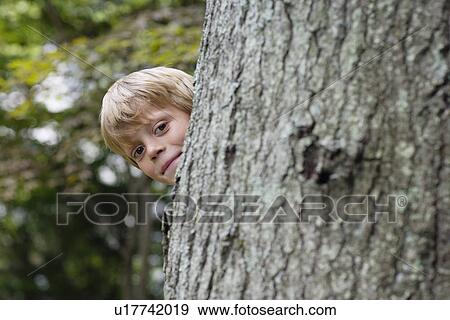 Portrait of boy (5-6) peeking from behind tree smiling View Large Photo Image Stock Photo - Portrait of boy (5-6) peeking from behind tree smiling. Fotosearch