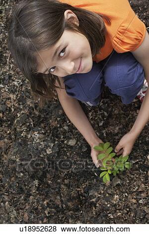 Stock Photo - Portrait of girl (7-9) planting black locust tree. Fotosearch