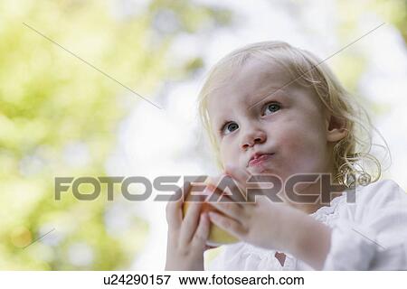 Portrait of young girl 91-2) eating apple View Large Photo Image Stock Photo - Portrait of young girl 91-2) eating apple. Fotosearch