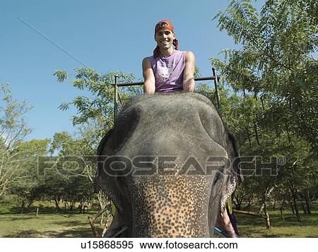 Portrait of young man riding elephant smiling trees in background View Large Photo Image Stock Photography - Portrait of young man riding elephant smiling trees in background. Fotosearch