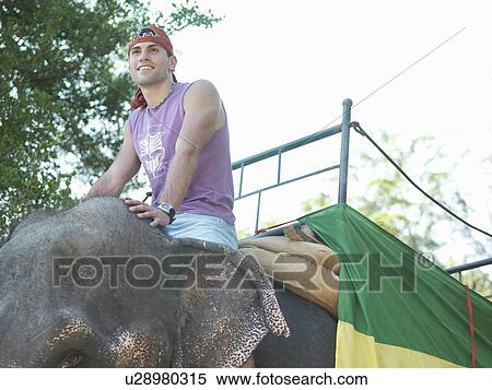 Stock Photography - Portrait of young man riding elephant smiling trees in background. Fotosearch