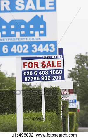 Stock Image - Real estate for sale signs in a row by hedges. Fotosearch