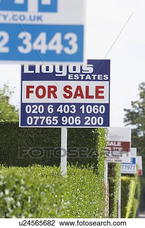 Real estate for sale signs in a row by hedges View Large Photo Image Stock Image - Real estate for sale signs in a row by hedges. Fotosearch