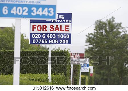 Real estate for sale signs in a row by hedges View Large Photo Image Stock Photograph - Real estate for sale signs in a row by hedges. Fotosearch