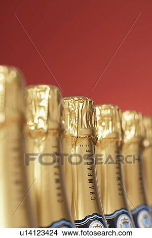 Row of champagne bottles close-up selective focus View Large Photo Image Picture - Row of champagne bottles close-up selective focus. Fotosearch