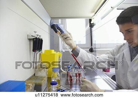 Scientist filling test tube with hi-tech pipette in laboratory View Large Photo Image Stock Photo - Scientist filling test tube with hi-tech pipette in laboratory. Fotosearch