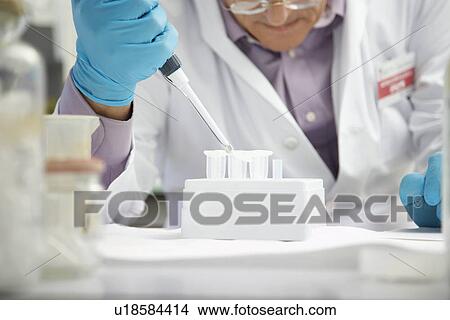 Scientist filling test tubes with pipette in laboratory View Large Photo Image Picture - Scientist filling test tubes with pipette in laboratory. Fotosearch