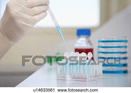 Scientist filling test tubes with pipette in laboratory close-up of hand View Large Photo Image Stock Image - Scientist filling test tubes with pipette in laboratory close-up of hand. Fotosearch