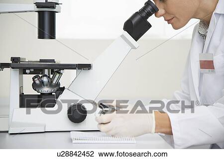 Scientist focusing microscope in laboratory View Large Photo Image Stock Image - Scientist focusing microscope in laboratory. Fotosearch
