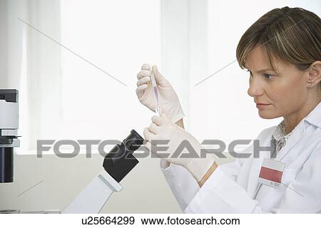 Scientist holding test tube near microscope in laboratory View Large Photo Image Stock Photo - Scientist holding test tube near microscope in laboratory. Fotosearch