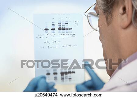 Picture - Scientist looking at DNA test results indoors. Fotosearch
