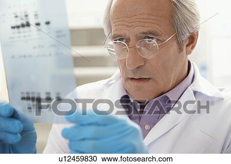 Scientist looking at DNA test results indoors View Large Photo Image Stock Image - Scientist looking at DNA test results indoors. Fotosearch