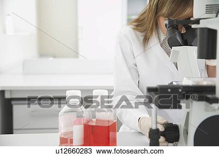Scientist looking in microscope in laboratory View Large Photo Image Stock Image - Scientist looking in microscope in laboratory. Fotosearch