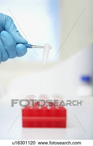 Scientist picking up test tube with tweezers in laboratory close up of hand View Large Photo Image Stock Image - Scientist picking up test tube with tweezers in laboratory close up of hand. Fotosearch