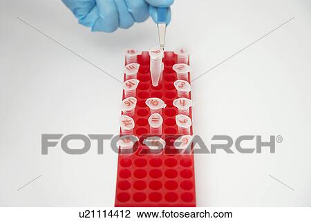 Scientist picking up test tube with tweezers indoors close-up of hand View Large Photo Image Stock Image - Scientist picking up test tube with tweezers indoors close-up of hand. Fotosearch