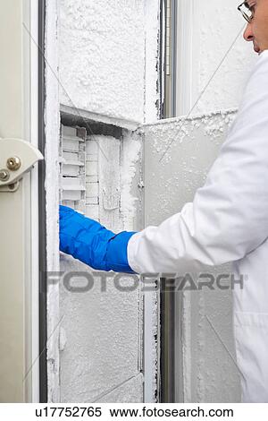 Scientist reaching into freezer in laboratory View Large Photo Image Stock Photography - Scientist reaching into freezer in laboratory. Fotosearch
