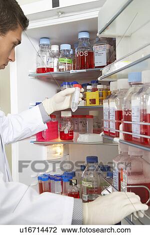 Scientist selecting bottle from refrigerator in laboratory View Large Photo Image Stock Image - Scientist selecting bottle from refrigerator in laboratory. Fotosearch