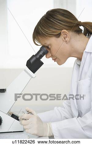 Scientist using microscope in laboratory View Large Photo Image Stock Photograph - Scientist using microscope in laboratory. Fotosearch