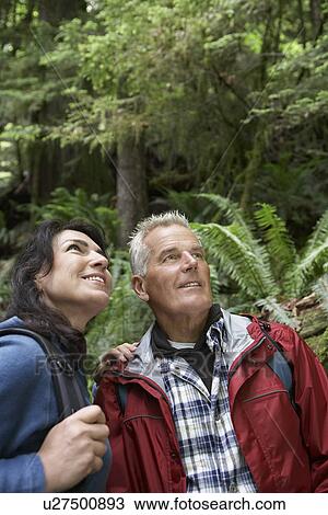 Senior man and middle-aged woman in forest looking up View Large Photo Image Stock Image - Senior man and middle-aged woman in forest looking up. Fotosearch