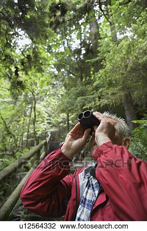 Senior man in forest looking up with binoculars View Large Photo Image Stock Image - Senior man in forest looking up with binoculars. Fotosearch