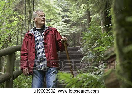 Senior man on trail in forest looking away View Large Photo Image Stock Image - Senior man on trail in forest looking away. Fotosearch