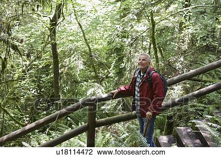 Senior man on trail in forest looking up View Large Photo Image Stock Image - Senior man on trail in forest looking up. Fotosearch