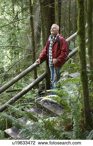 Senior man on trail in forest looking up View Large Photo Image Stock Image - Senior man on trail in forest looking up. Fotosearch