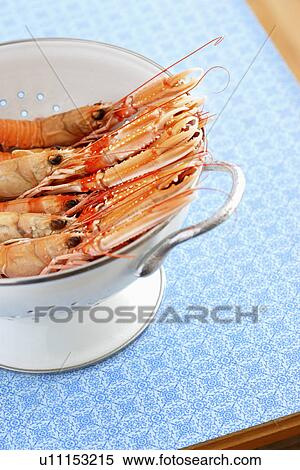Stock Photography - Shrimps in colander elevated view. Fotosearch