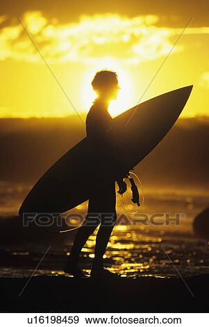 Stock Photo - Silhouette of surfer carrying surfboard along beach side view. Fotosearch