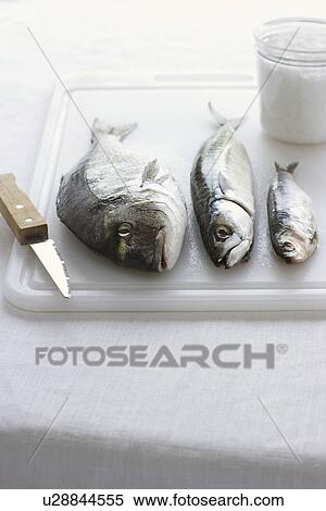 Three fishes on chopping board close-up View Large Photo Image Stock Photography - Three fishes on chopping board close-up. Fotosearch