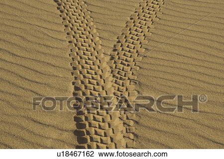 Tire tracks in sand View Large Photo Image Stock Image - Tire tracks in sand. Fotosearch