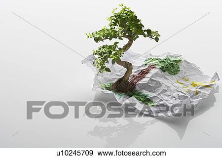 Tree Growing From Drawing View Large Photo Image Stock Photo - Tree Growing From Drawing. Fotosearch
