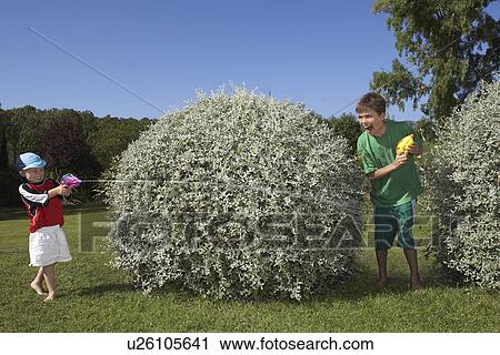 Stock Image - Two boys (3-11) playing with water pistols among bushes laughing. Fotosearch