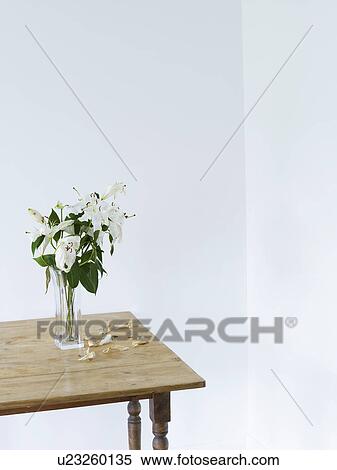 White lilies in vase on table elevated view View Large Photo Image Stock Photography - White lilies in vase on table elevated view. Fotosearch