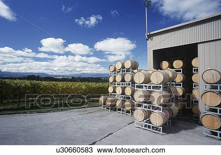 Wine stored in barrels at wineyard Yarra Valley Victoria Australia. View Large Photo Image Stock Image - Wine stored in barrels at wineyard Yarra Valley Victoria Australia.. Fotosearch