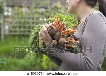 Woman holding vegetables in garden mid section side view View Large Photo Image Picture - Woman holding vegetables in garden mid section side view. Fotosearch