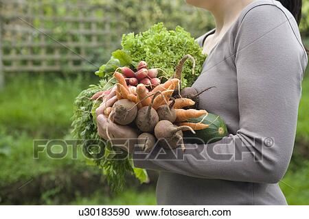Woman holding vegetables in garden mid section side view View Large Photo Image Stock Image - Woman holding vegetables in garden mid section side view. Fotosearch