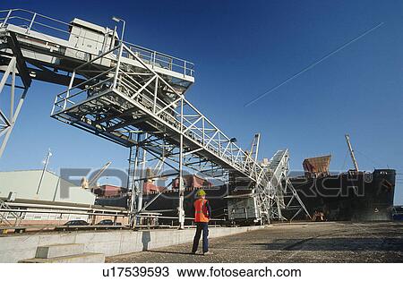 Stock Image - Woodchip being loaded on to bulk carrier ship for export. Fotosearch