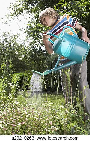 Young boy (7-9) watering flowers in garden View Large Photo Image Stock Image - Young boy (7-9) watering flowers in garden. Fotosearch