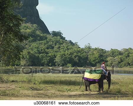 Stock Image - Young man on elephant by river rock formation in background. Fotosearch
