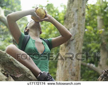 Young woman in tropical forest drinking from coconut low angle view View Large Photo Image Picture - Young woman in tropical forest drinking from coconut low angle view. Fotosearch
