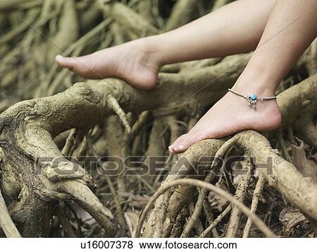 Young woman sitting on tree roots close-up on foot View Large Photo Image Stock Photo - Young woman sitting on tree roots close-up on foot. Fotosearch