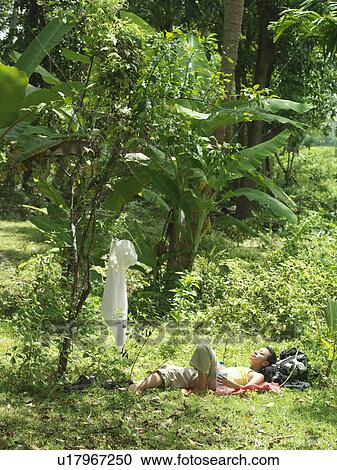 Yung woman lying in tropical forest sunbathing View Large Photo Image Stock Image - Yung woman lying in tropical forest sunbathing. Fotosearch