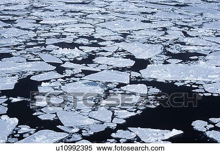 Stock Photography - Antarctica Weddell Sea ice floe. Fotosearch