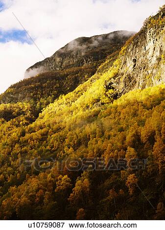 Stock Photo - Autumn mountain landscape. Fotosearch