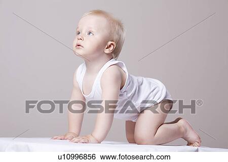 Baby boy (1-20 crawling looking up studio shot View Large Photo Image Stock Photograph - Baby boy (1-20 crawling looking up studio shot. Fotosearch